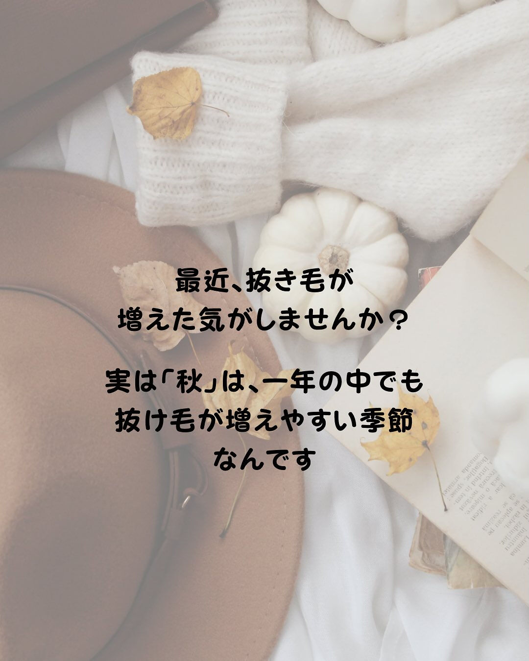秋になると抜け毛が増える理由