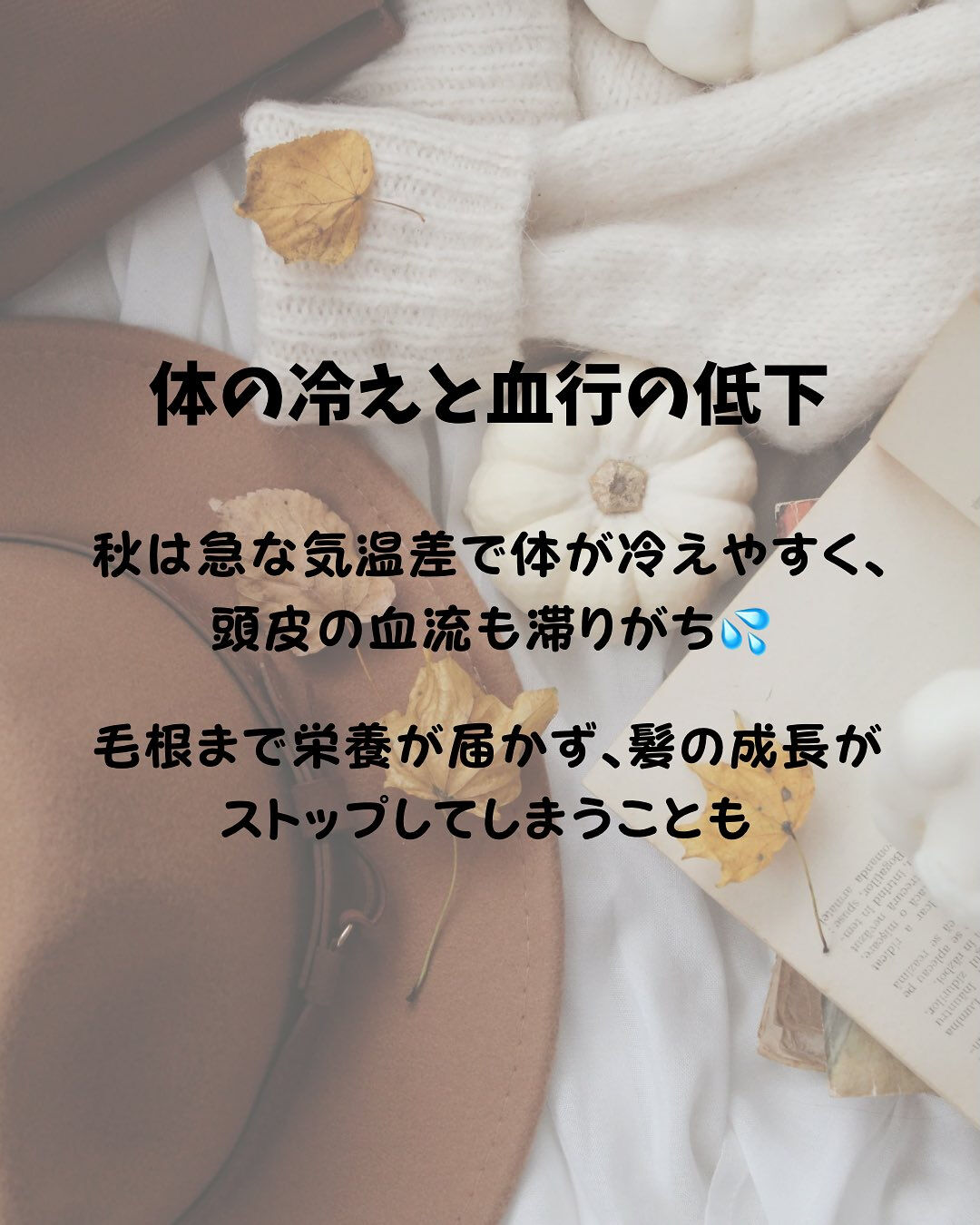 秋になると抜け毛が増える理由
